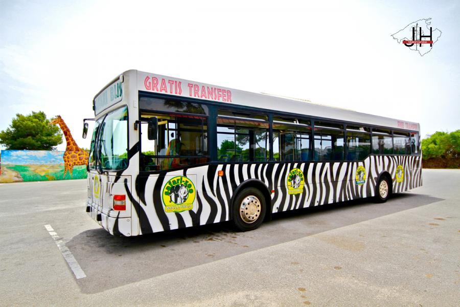 safari sa coma bus
