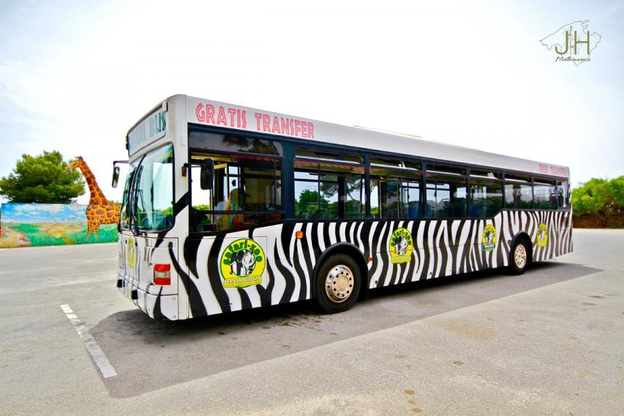 safari sa coma bus